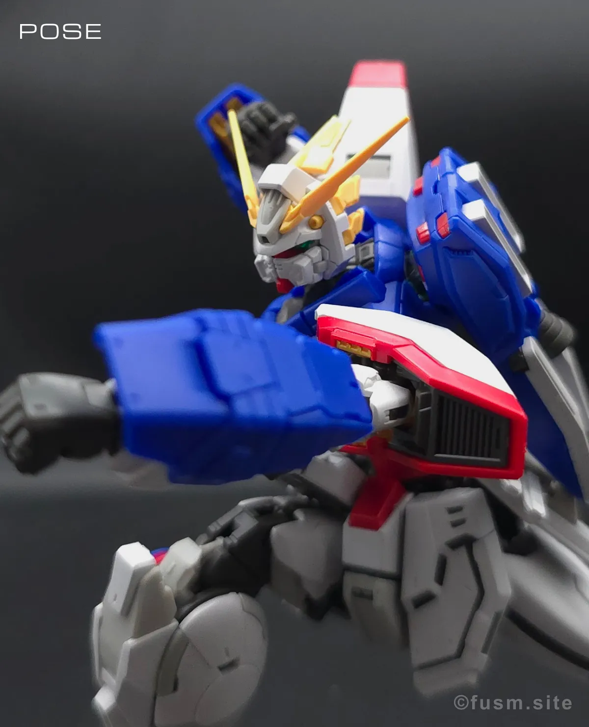 【レビュー】RG シャイニングガンダム ポージング 03
