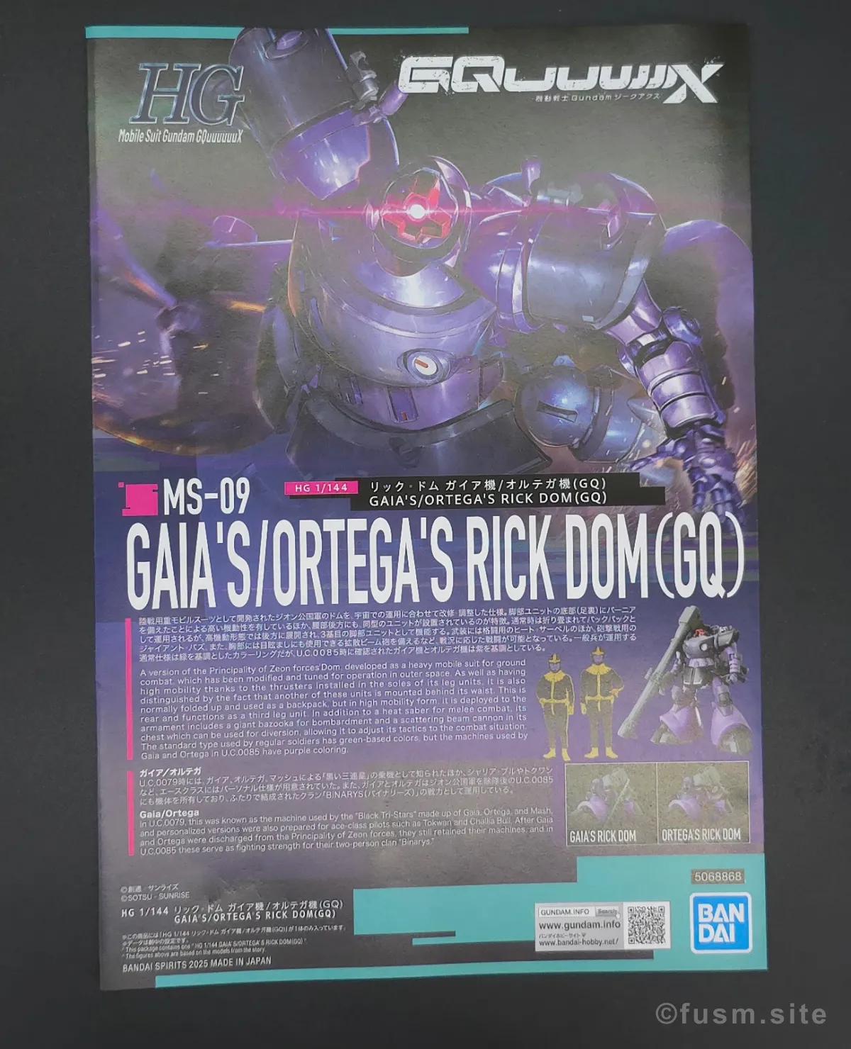 HG リック・ドム ガイア機/オルテガ機(GQ) レビュー パッケージ 12