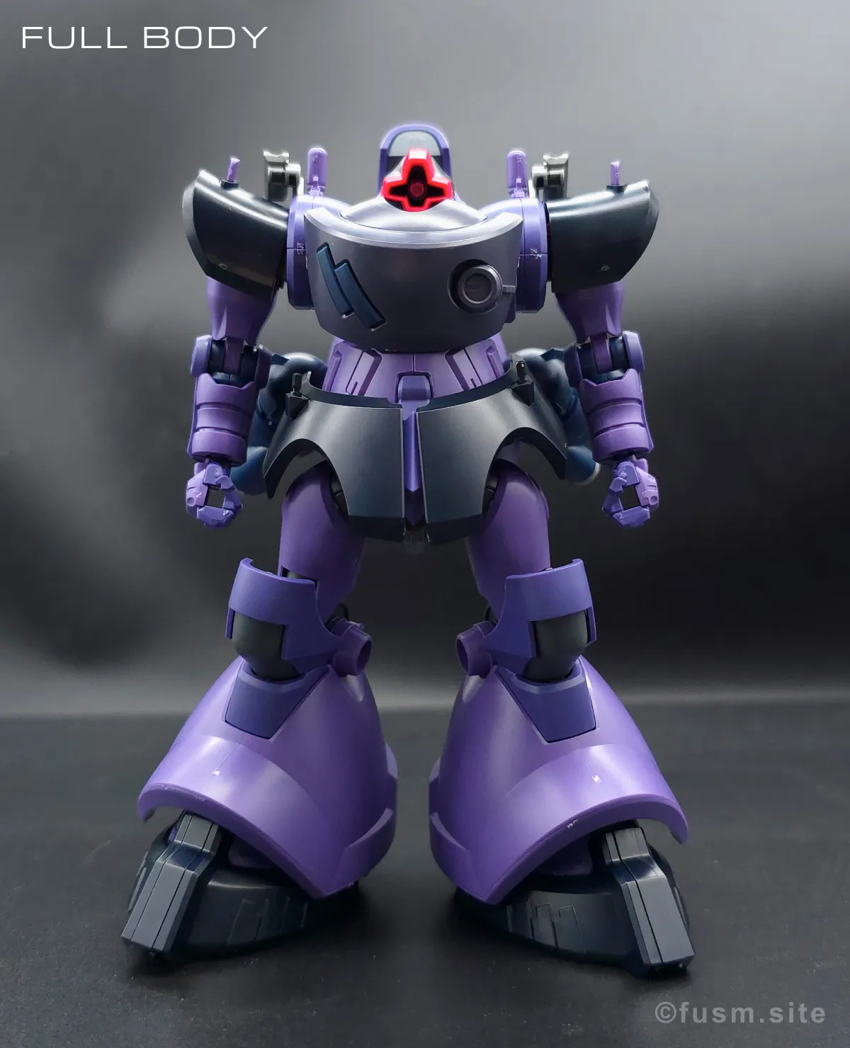 HG リック・ドム ガイア機/オルテガ機(GQ) レビュー 多角的に見た全体の外観・素組み 01