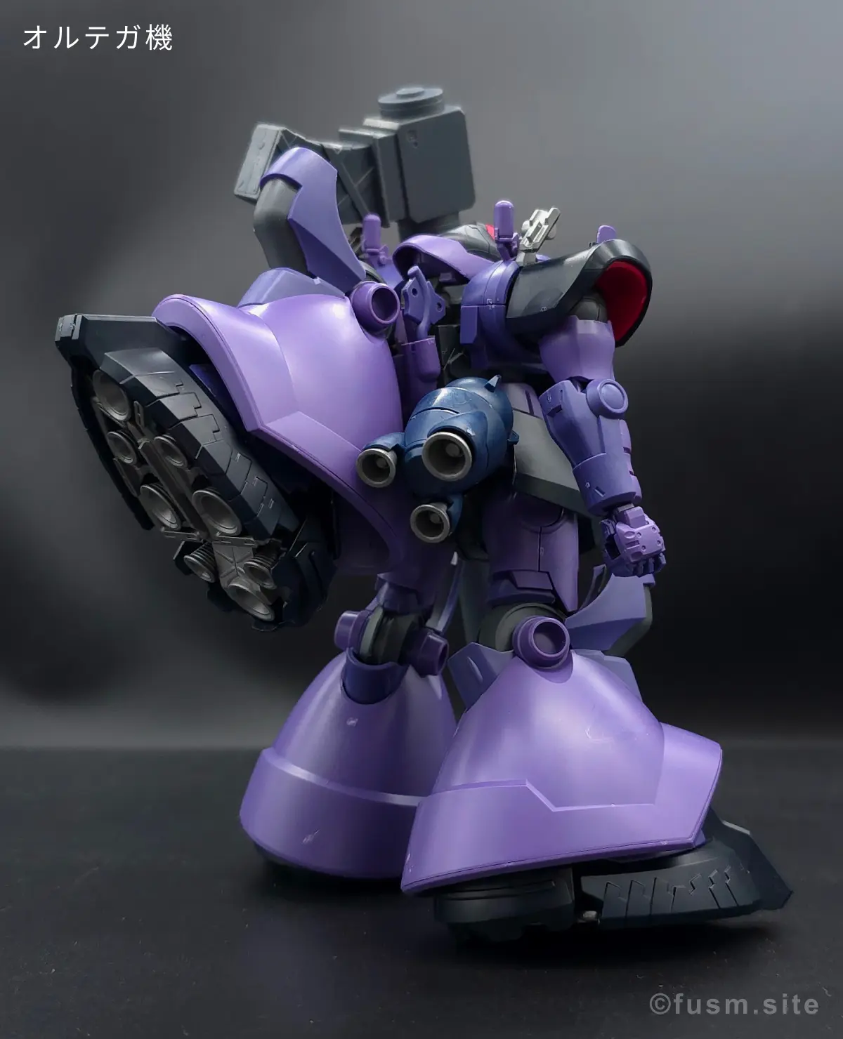 HG リック・ドム ガイア機/オルテガ機(GQ) レビュー コラージュ 04