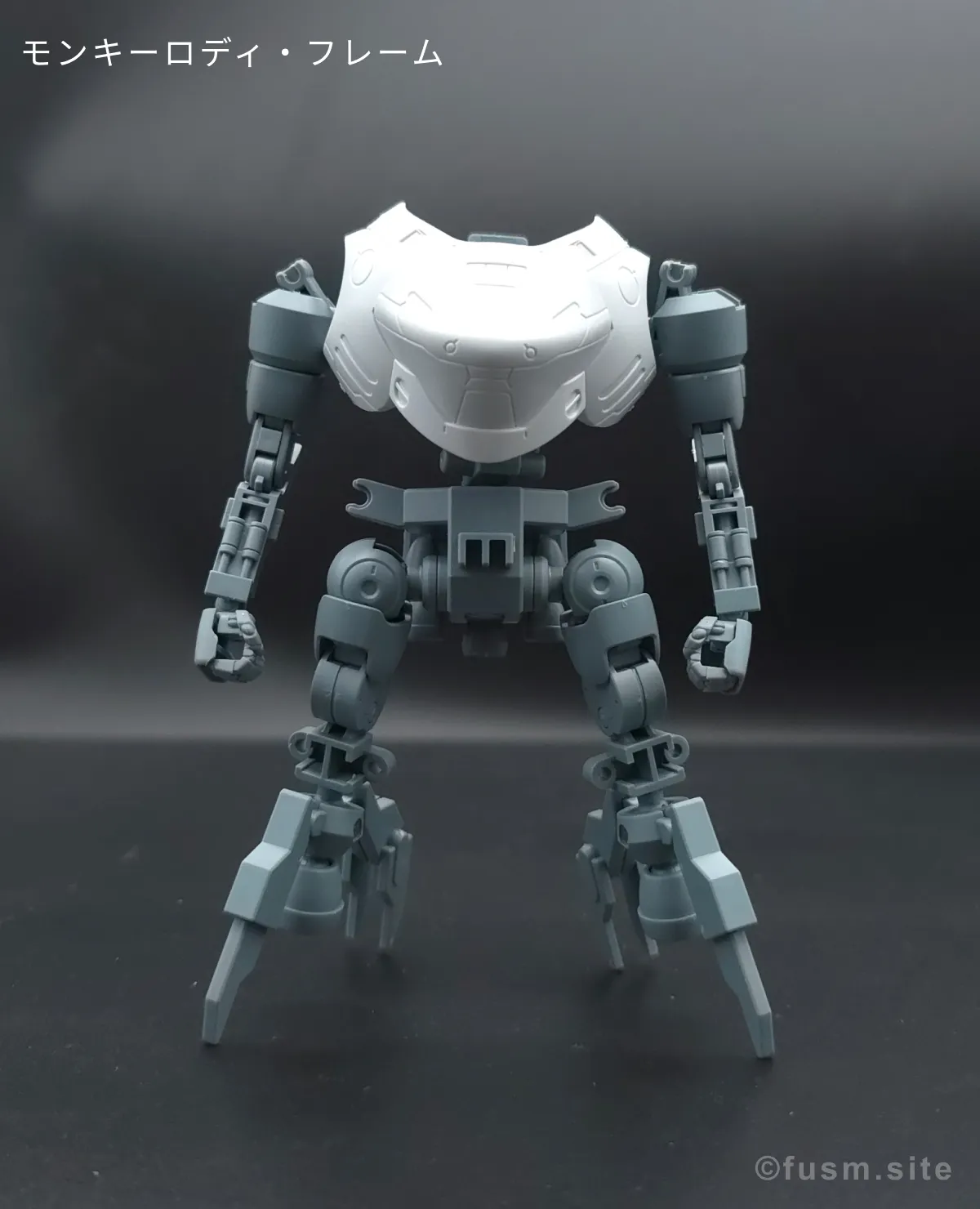 【レビュー】HG モンキーロディ(598機)/モンキークラブロディ 01