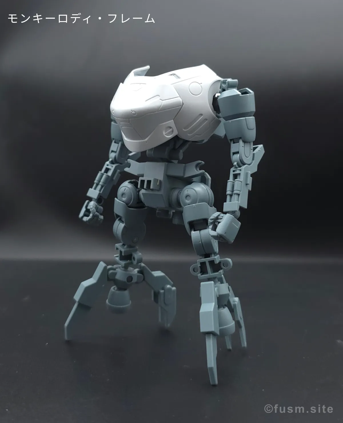 【レビュー】HG モンキーロディ(598機)/モンキークラブロディ 02