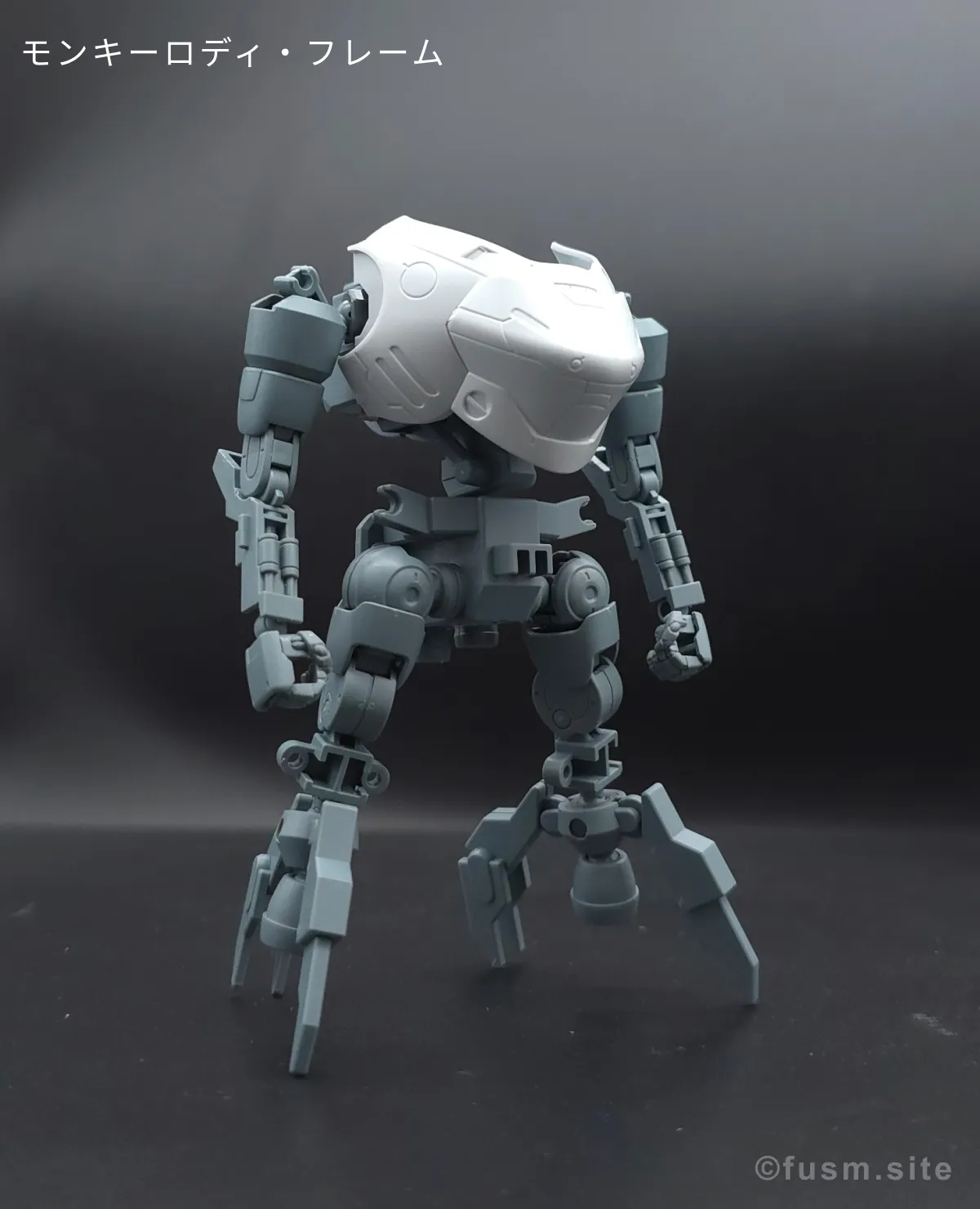 【レビュー】HG モンキーロディ(598機)/モンキークラブロディ 08
