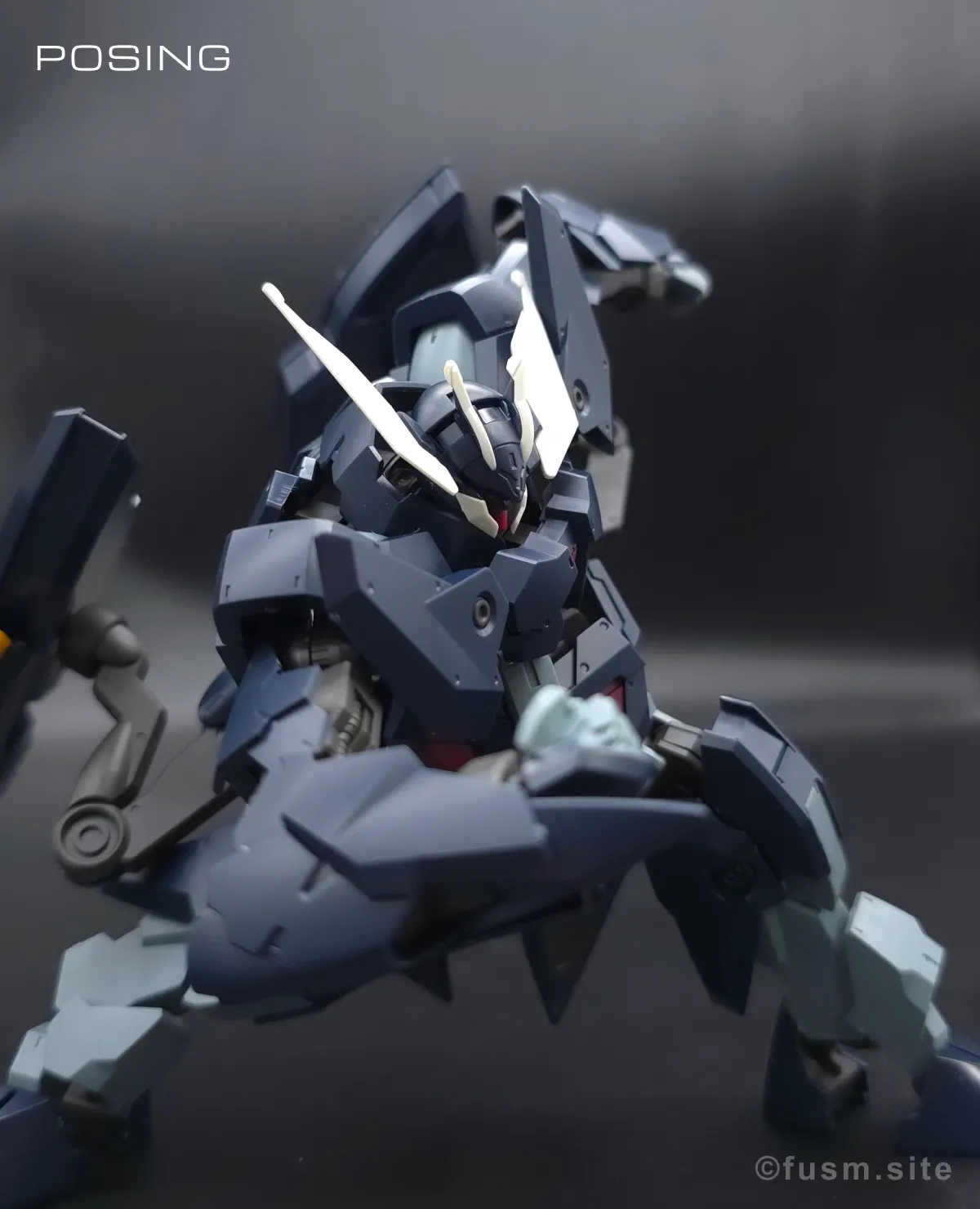 HG ガンダムザガン レビュー ポージング 03