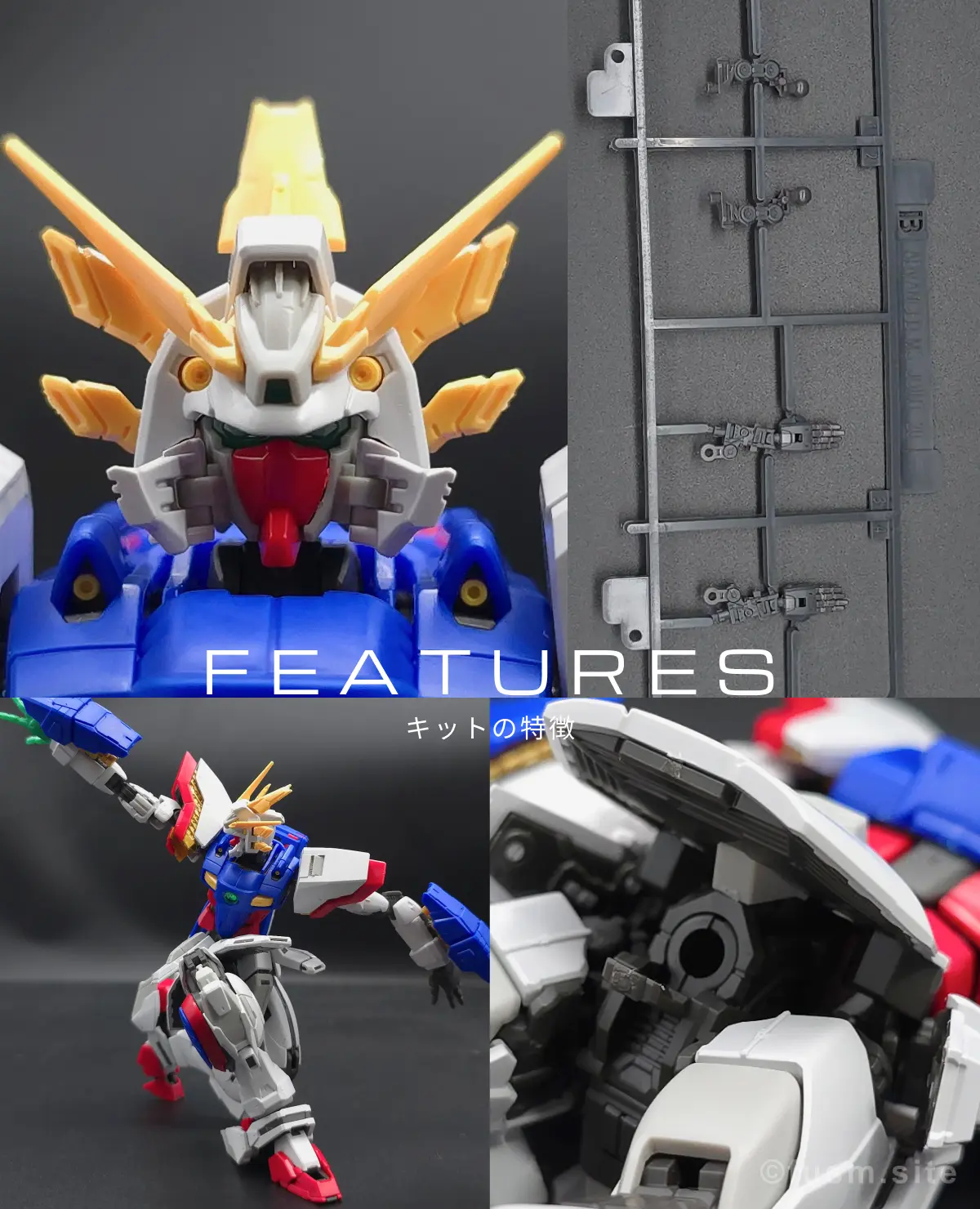 【再販】12月予定!RG シャイニングガンダムの内容物や特徴