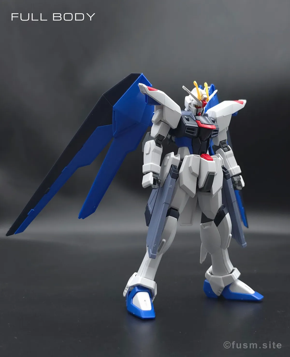 HGCE フリーダムガンダム レビュー 多角的に見た全体の外観・素組み 06