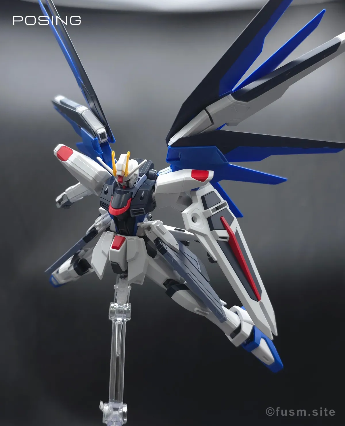 HGCE フリーダムガンダム レビュー ポージング 02