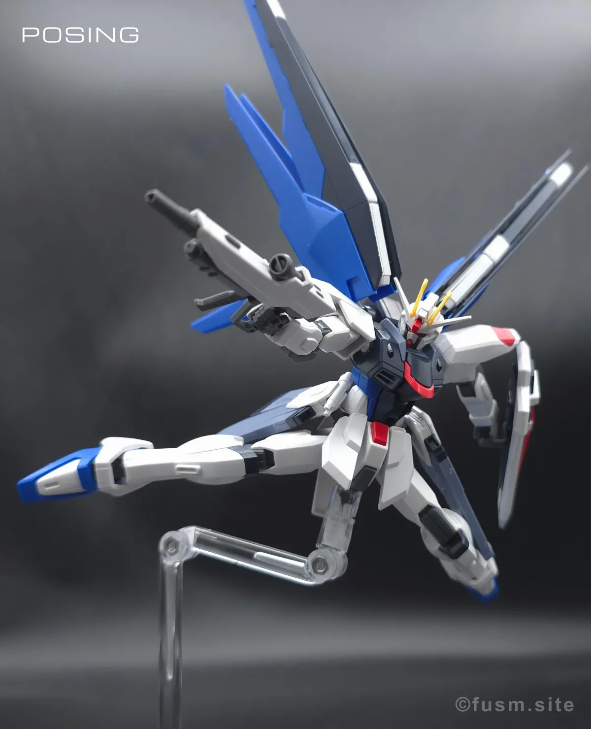 HGCE フリーダムガンダム レビュー ポージング 03