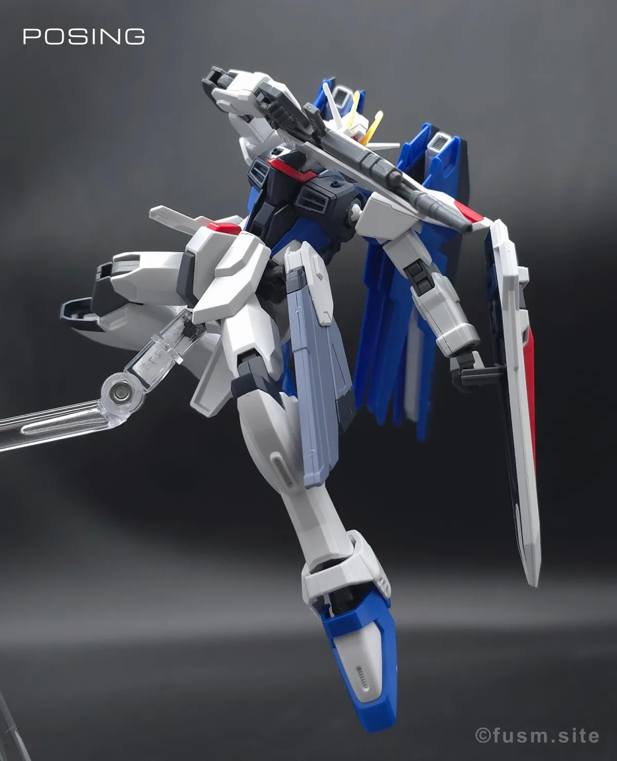 HGCE フリーダムガンダム レビュー ポージング 04