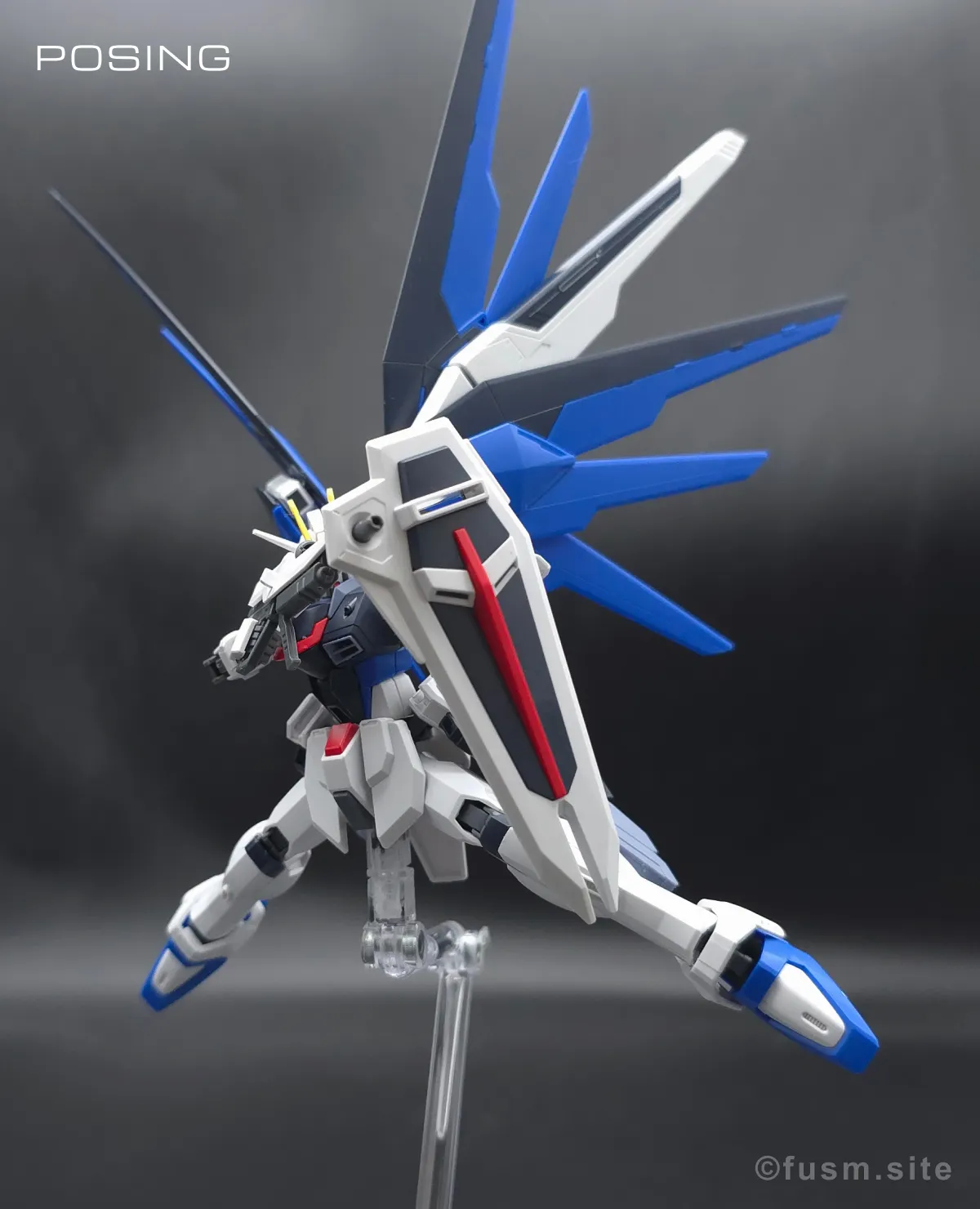 HGCE フリーダムガンダム レビュー ポージング 06