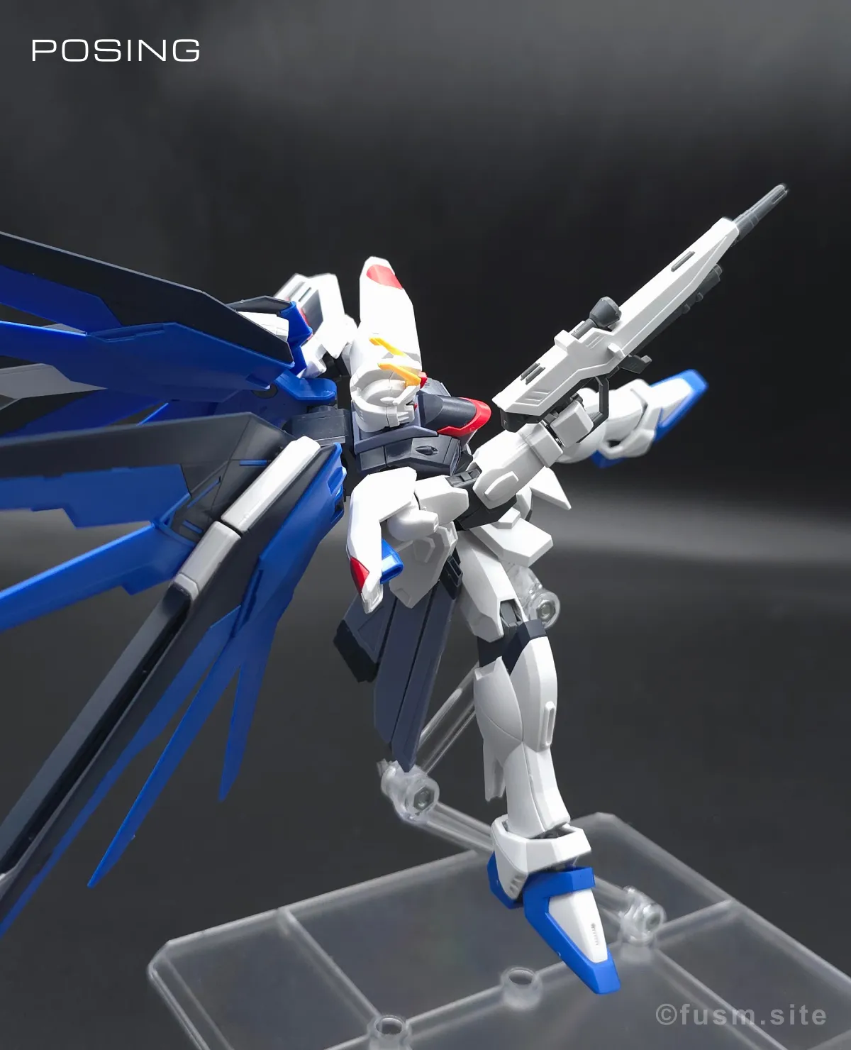 HGCE フリーダムガンダム レビュー ポージング 07