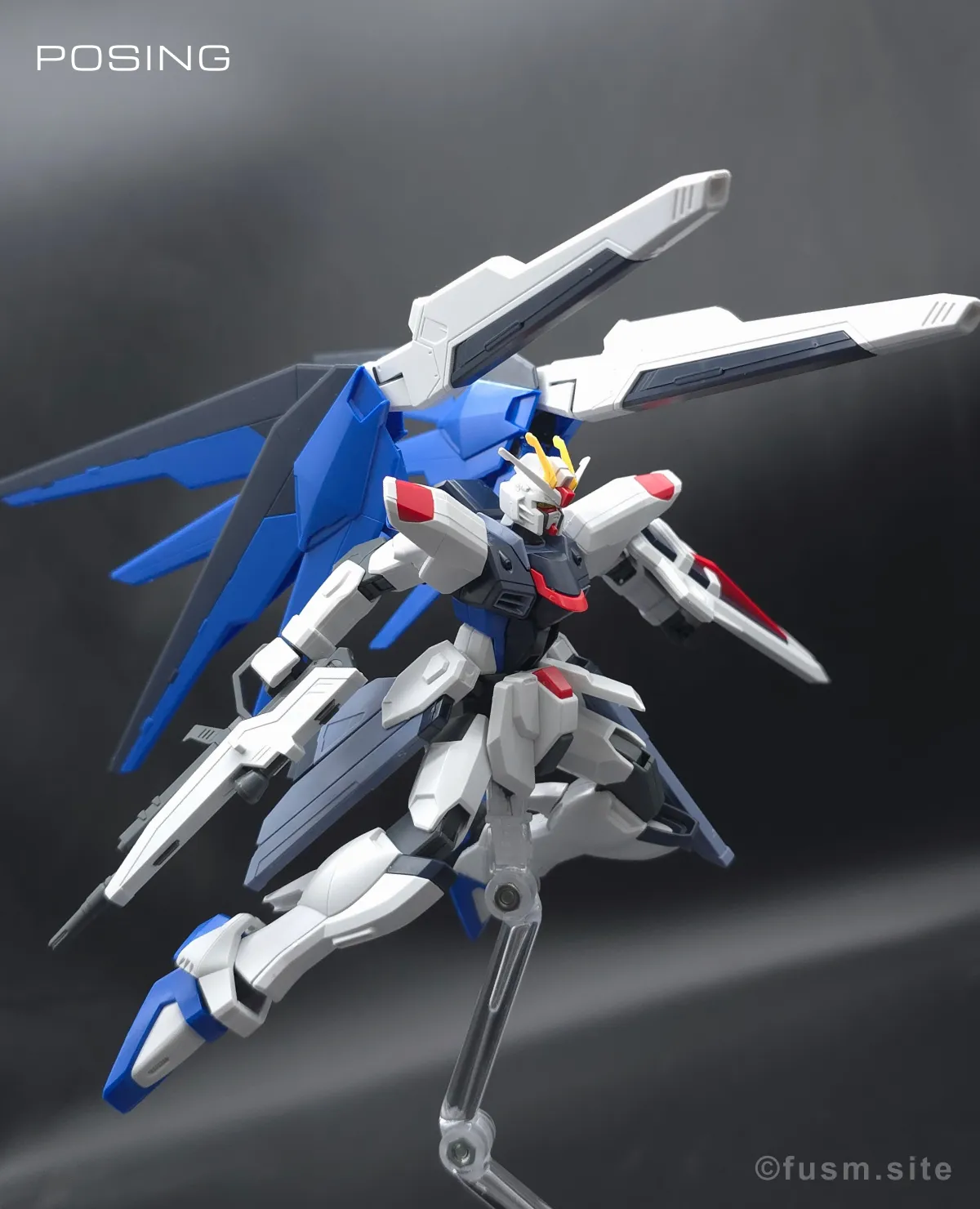 HGCE フリーダムガンダム レビュー ポージング 10