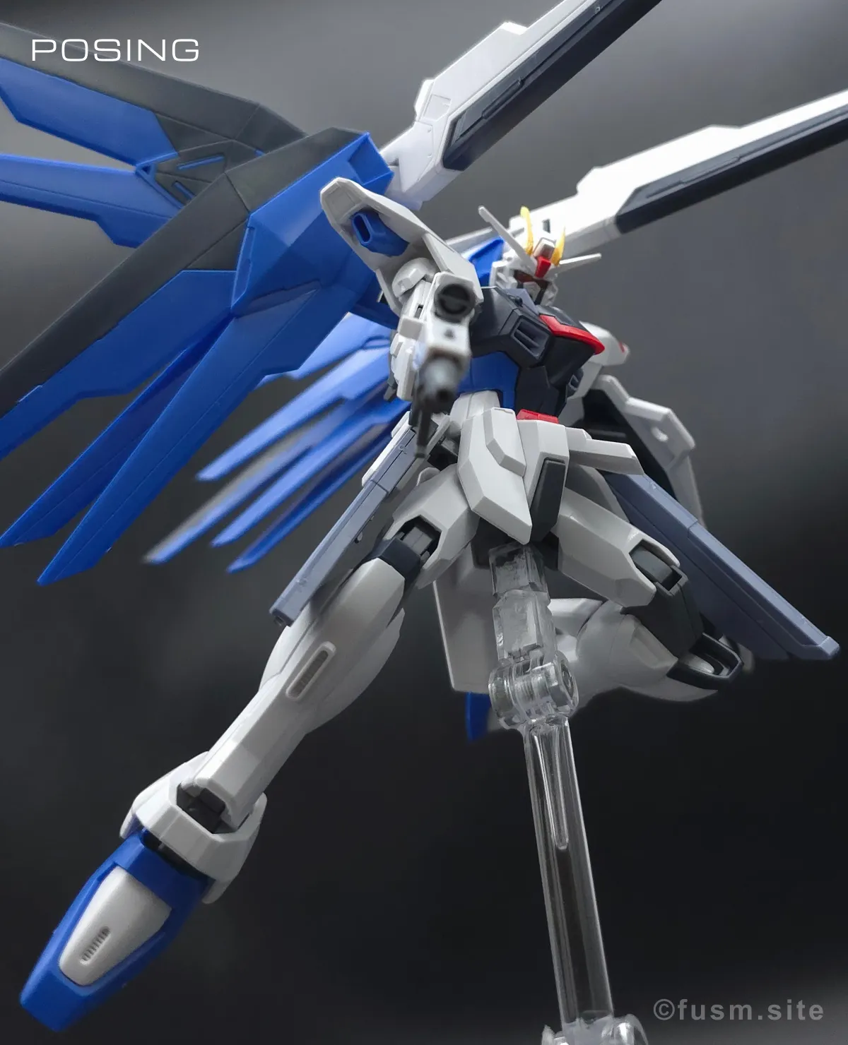 HGCE フリーダムガンダム レビュー ポージング 11