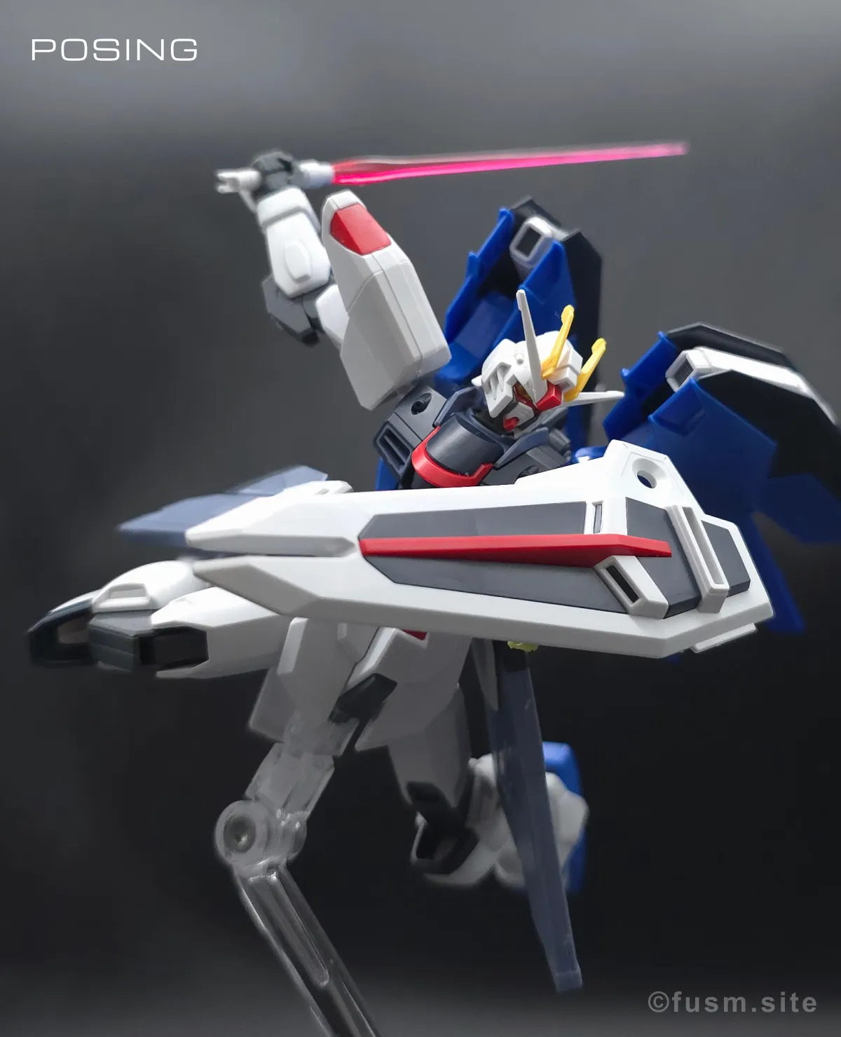 HGCE フリーダムガンダム レビュー ポージング 12