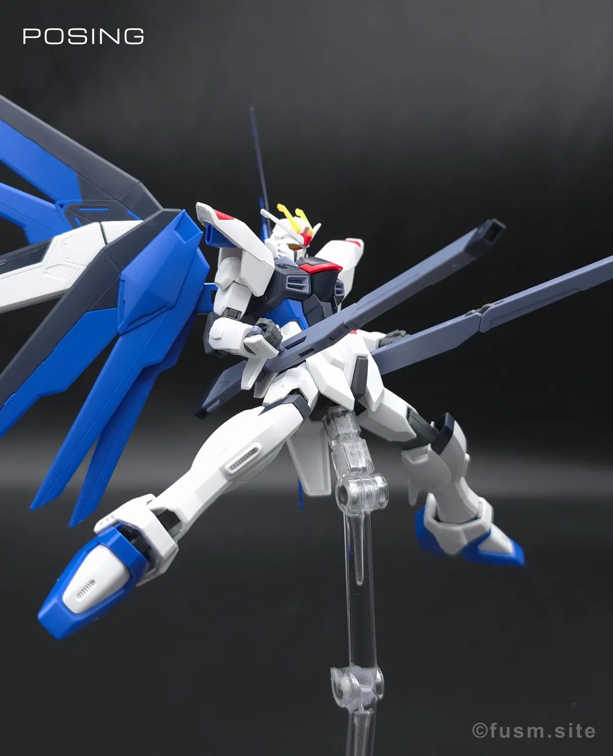 HGCE フリーダムガンダム レビュー ポージング 23