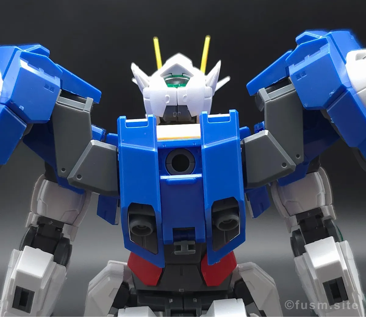 RG GN-0000+GNR-010 ダブルオーライザー レビュー バックパックレビュー 02