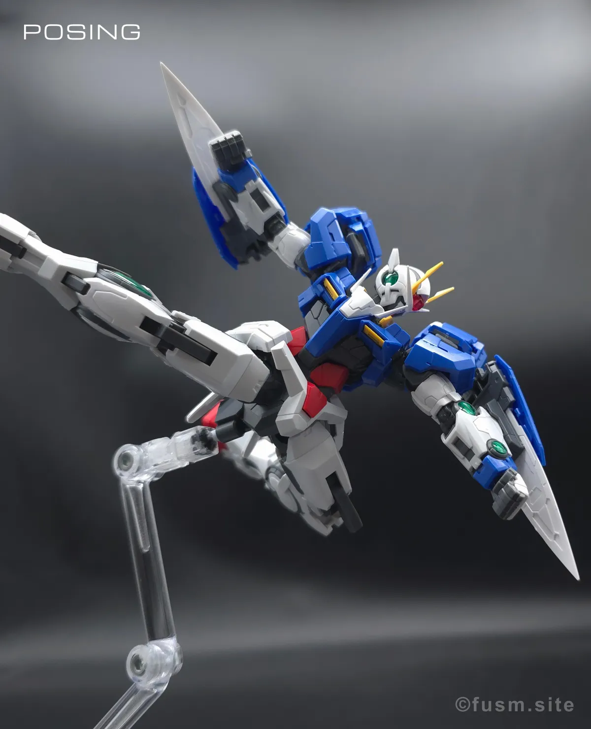 RG GN-0000+GNR-010 ダブルオーライザー レビュー ポージング 09