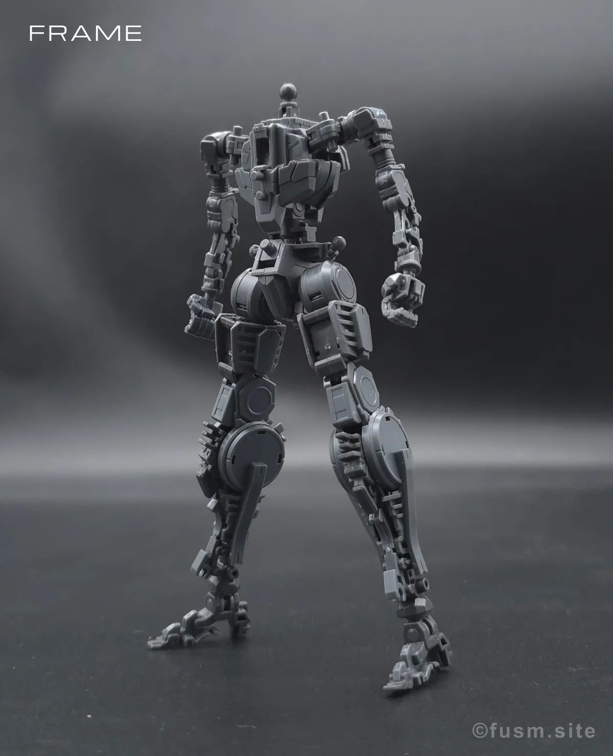 RG GN-0000+GNR-010 ダブルオーライザー レビュー 02