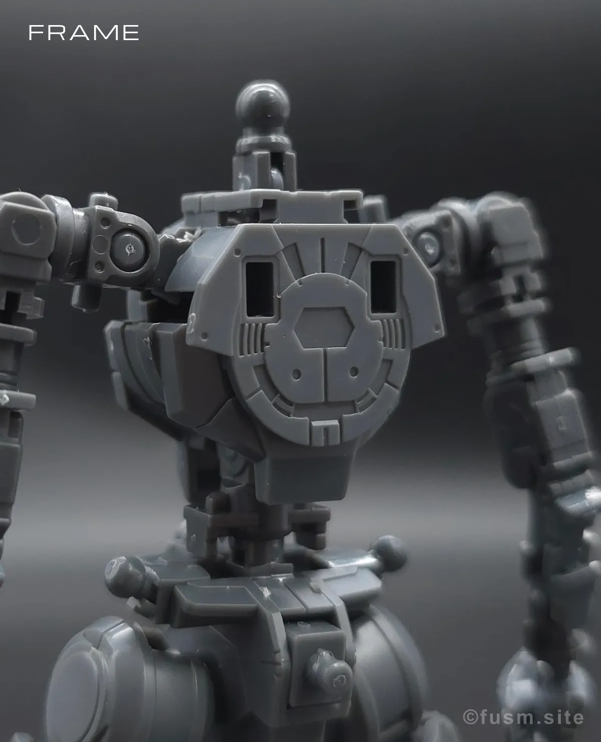 RG GN-0000+GNR-010 ダブルオーライザー レビュー 10