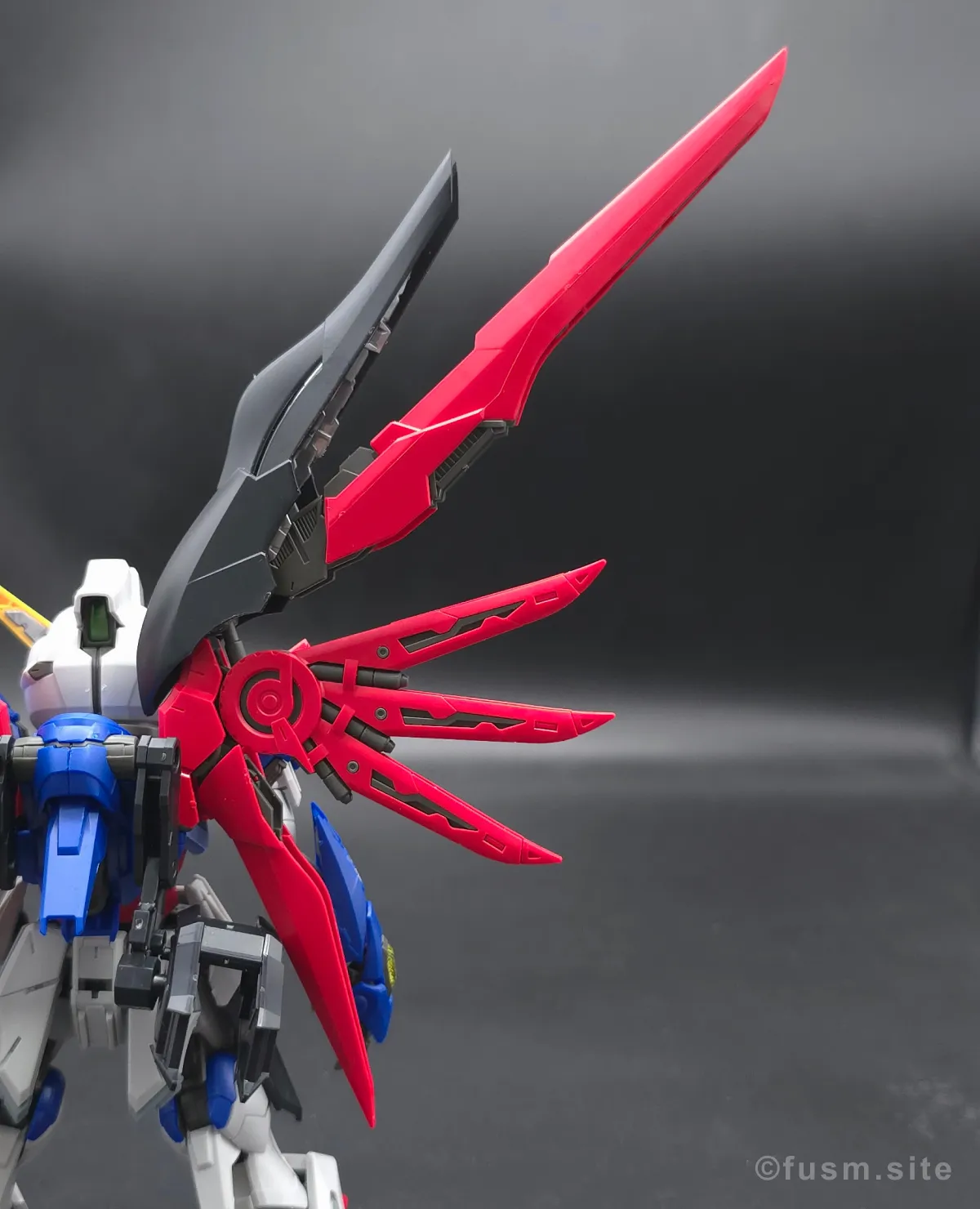 MGSD デスティニーガンダム レビュー バックパックレビュー 可動域 05