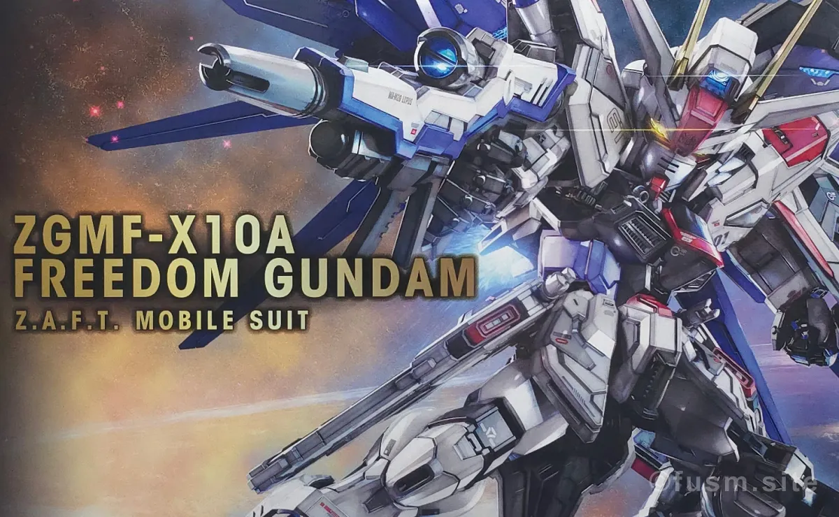 MGSD フリーダムガンダム レビュー パッケージ 01