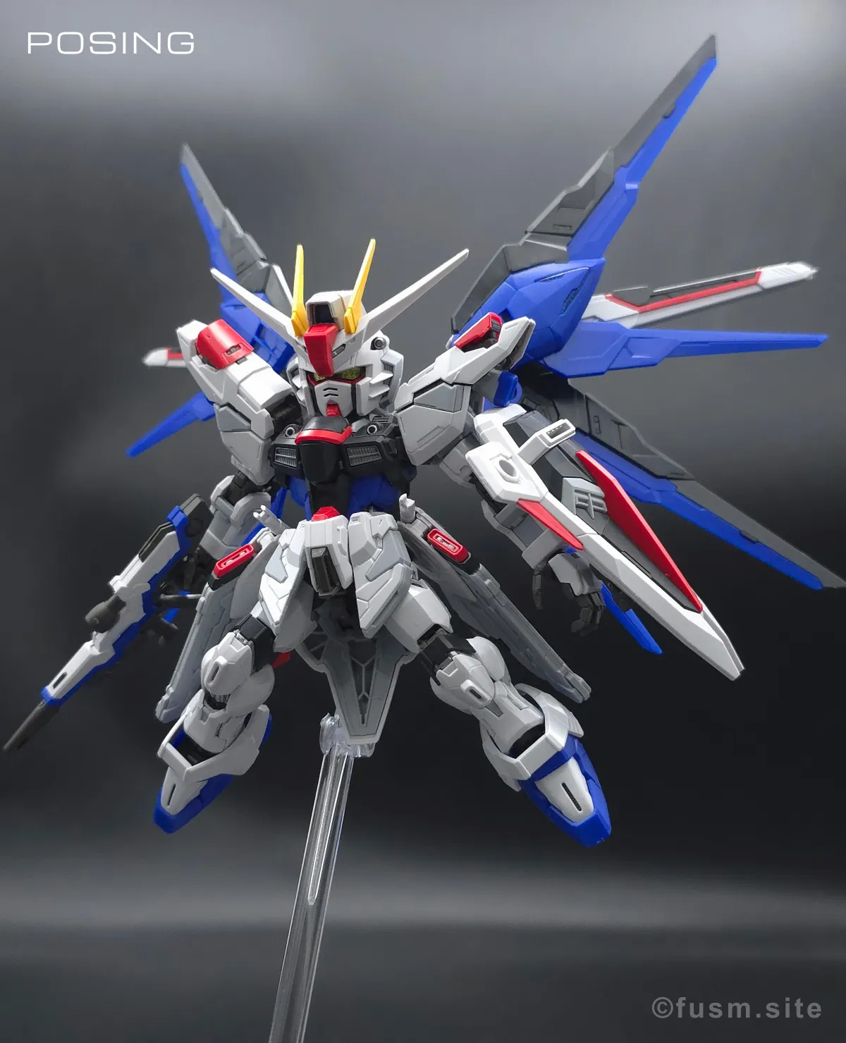 MGSD フリーダムガンダム レビュー ポージング 04