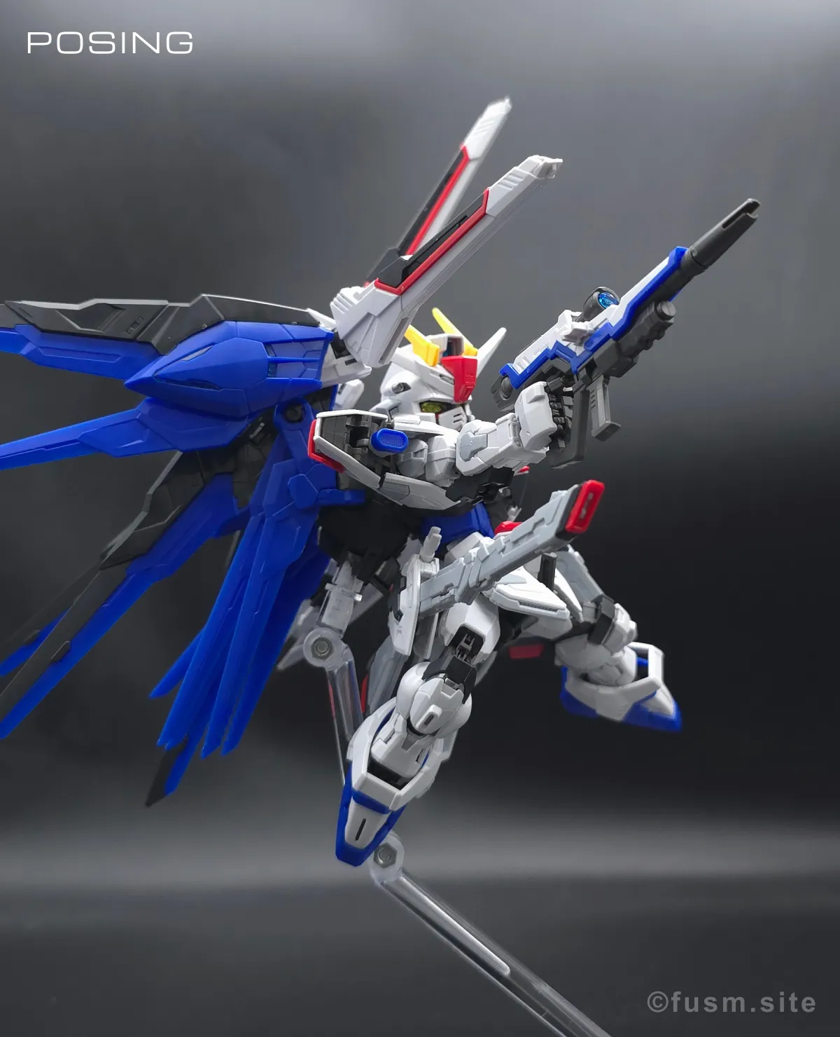 MGSD フリーダムガンダム レビュー ポージング 12