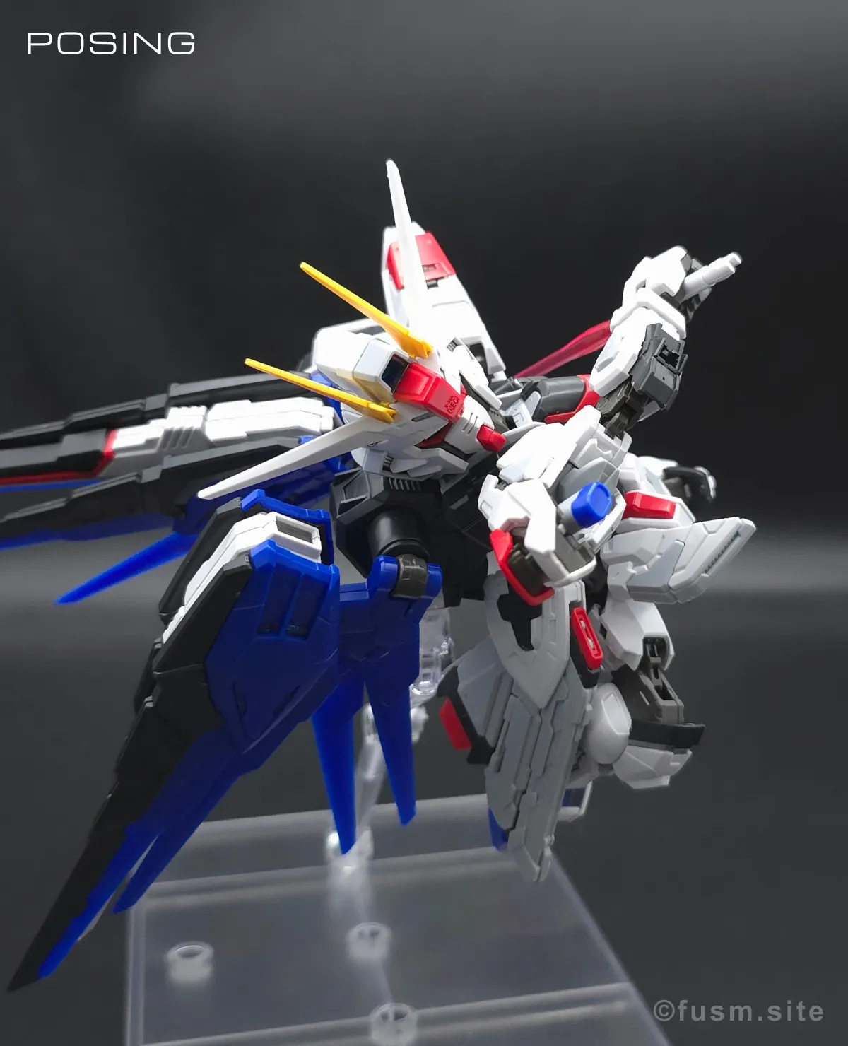 MGSD フリーダムガンダム レビュー ポージング 19