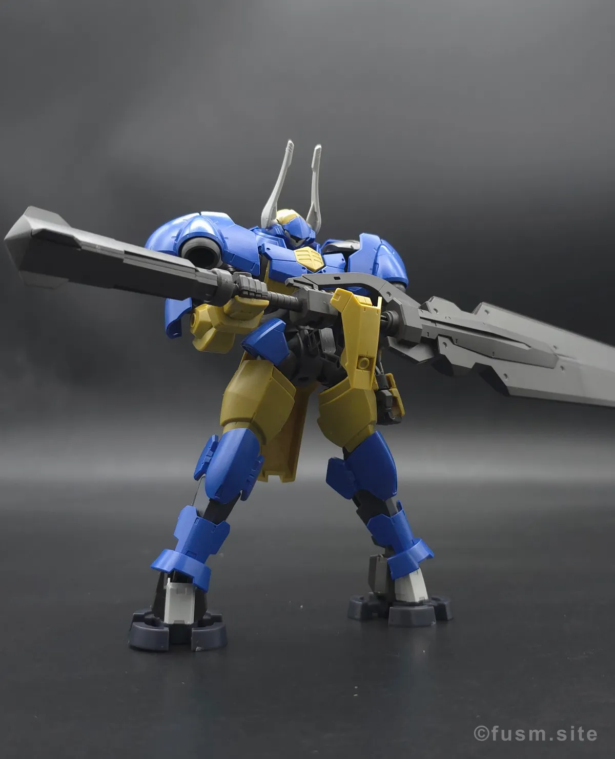HG ヘルムヴィーゲ・リンカー レビュー ポージング 00