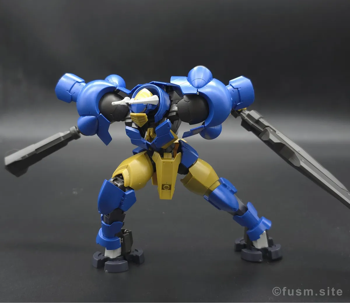 HG ヘルムヴィーゲ・リンカー レビュー ポージング 19