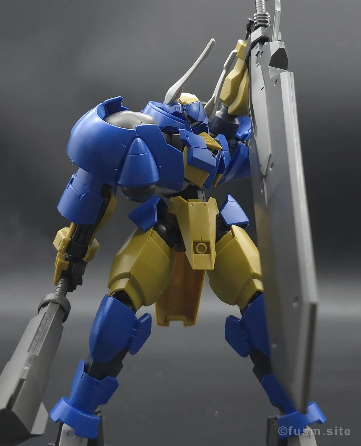 HG ヘルムヴィーゲ・リンカー レビュー ポージング 24