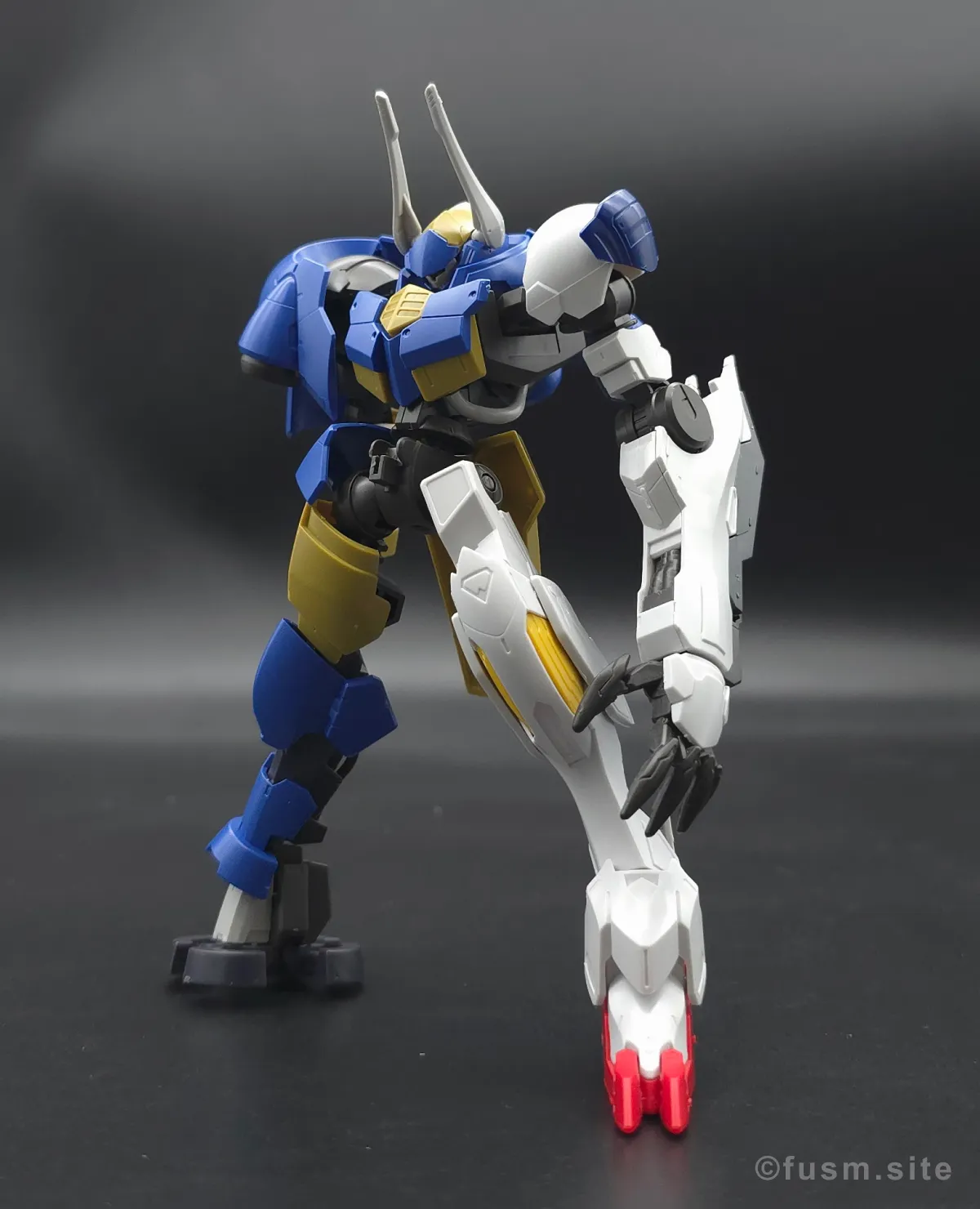 HG ヘルムヴィーゲ・リンカー レビュー 01