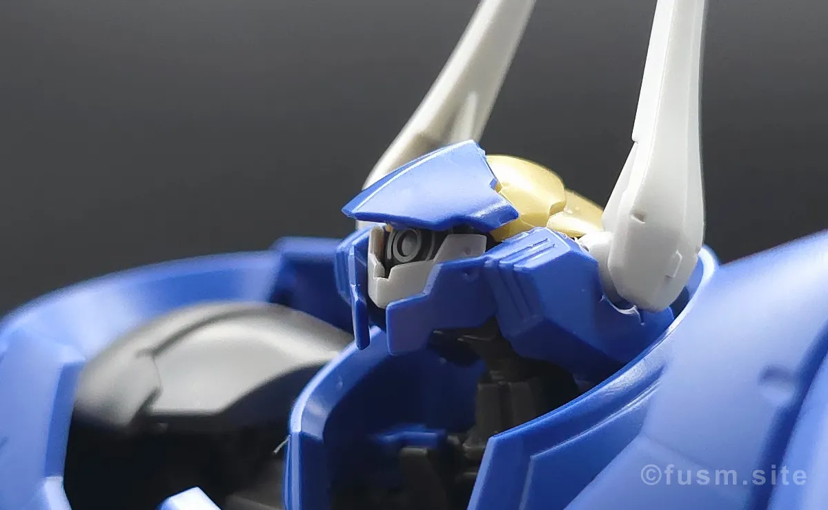 HG ヘルムヴィーゲ・リンカー レビュー 頭部ディテール 02