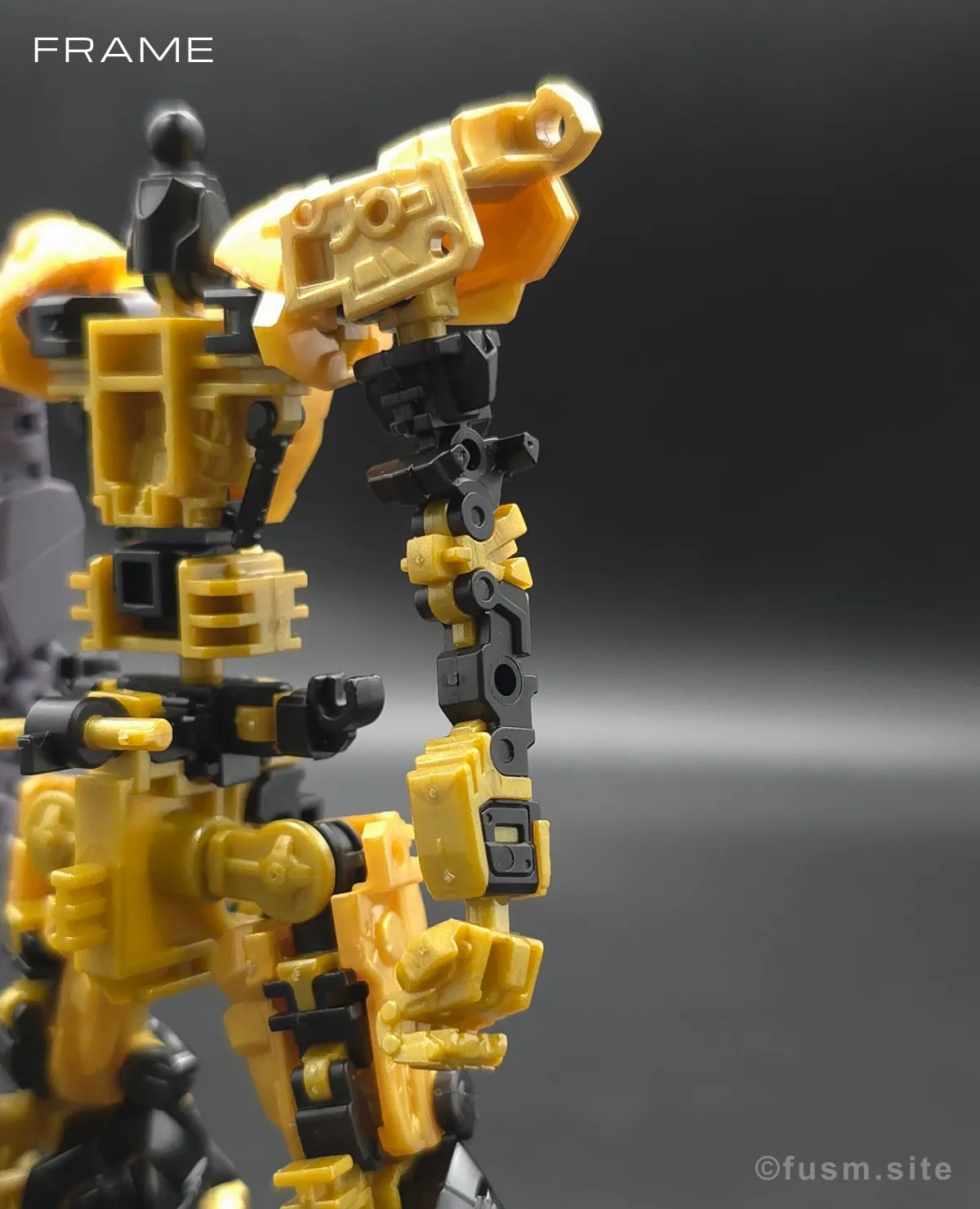 RG ガンダムアストレイ ゴールドフレーム天ミナ レビュー 09
