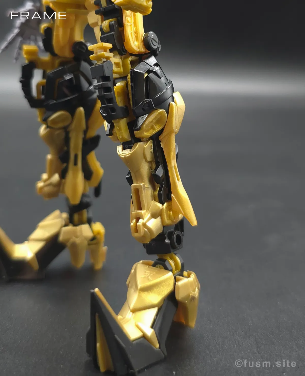 RG ガンダムアストレイ ゴールドフレーム天ミナ レビュー 10