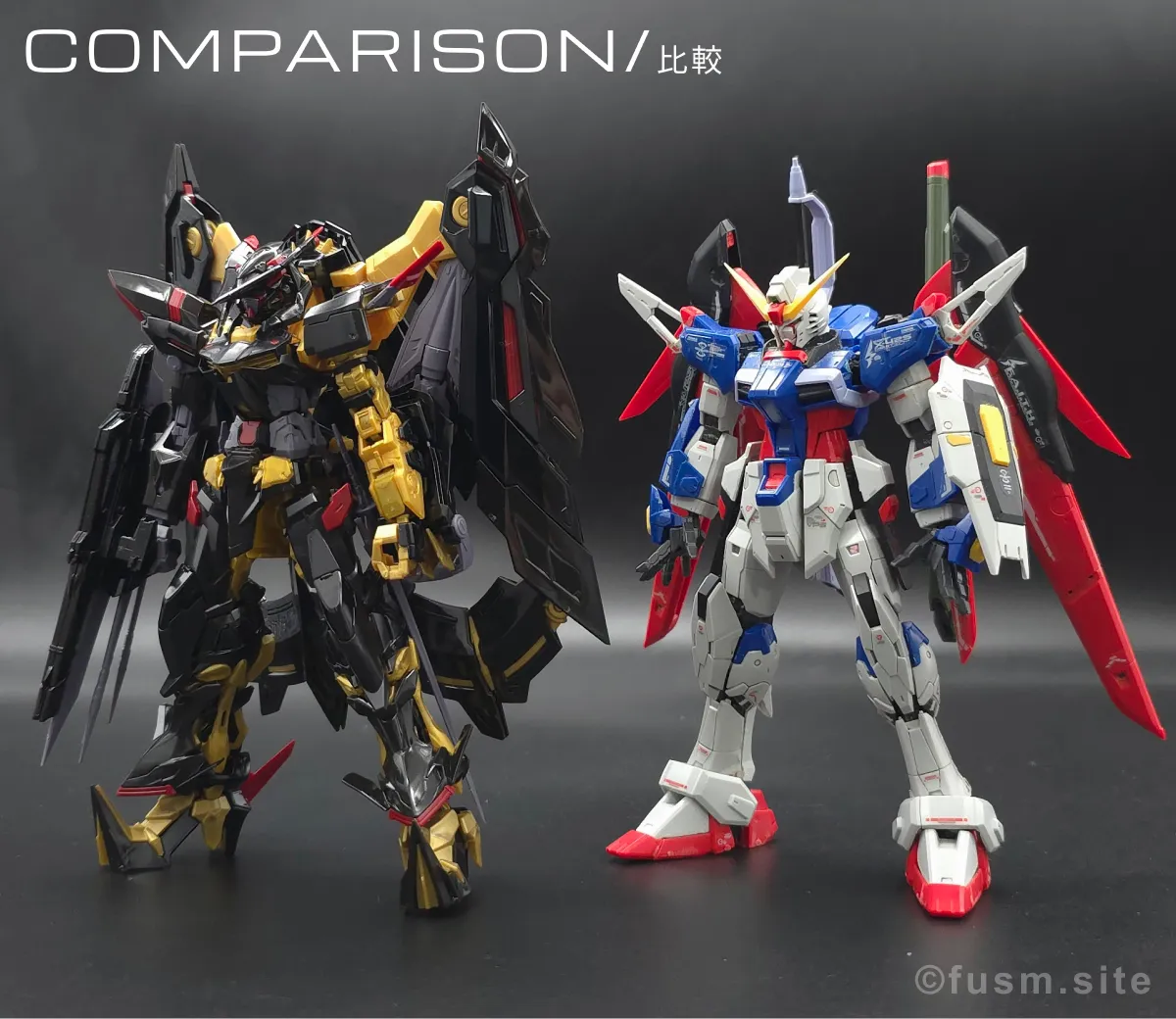 RG ガンダムアストレイ ゴールドフレーム天ミナ レビュー 比較 03