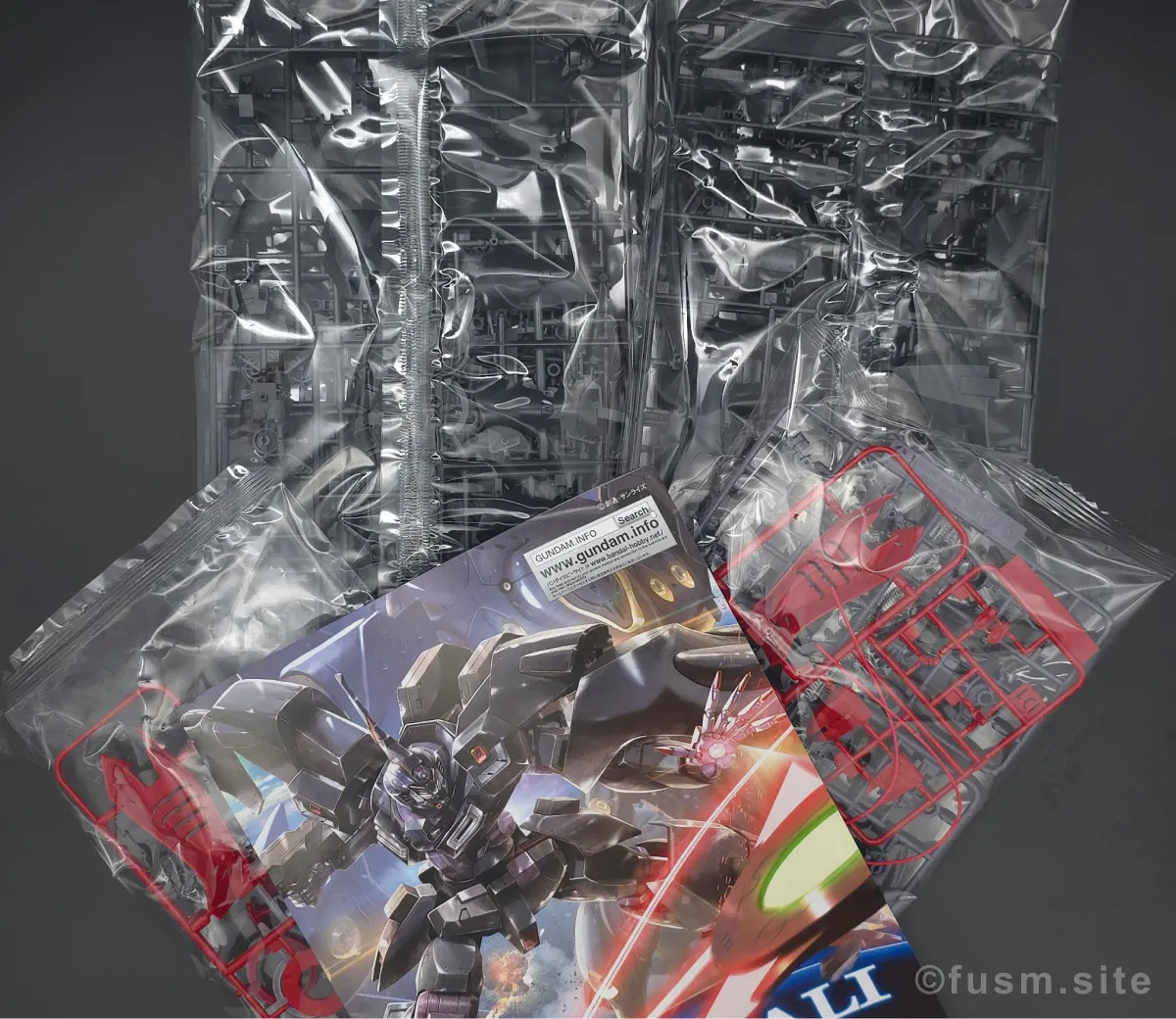 HG カバカーリー レビュー パッケージ 03