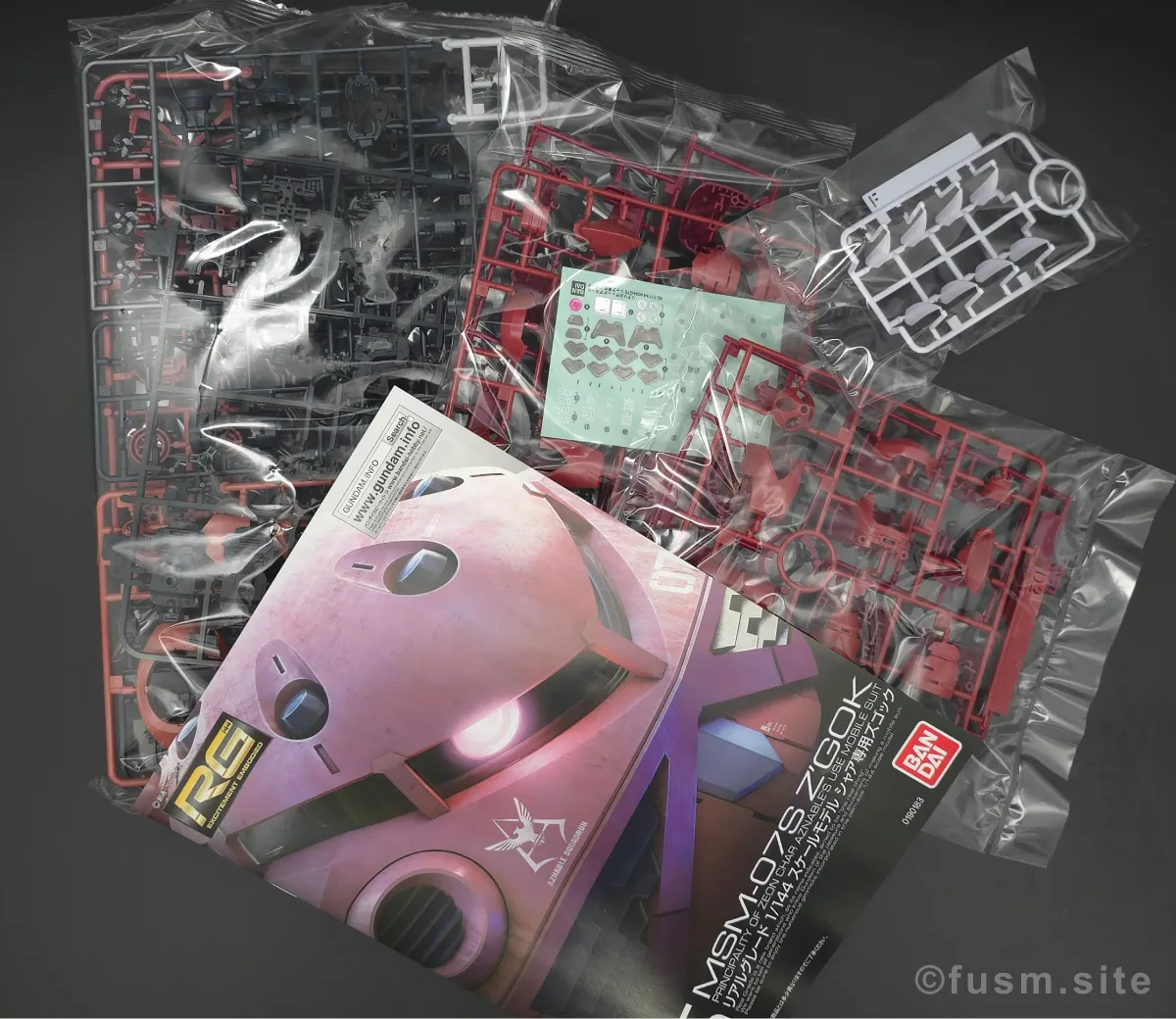 RG MSM-07S シャア専用ズゴック レビュー パッケージ 03