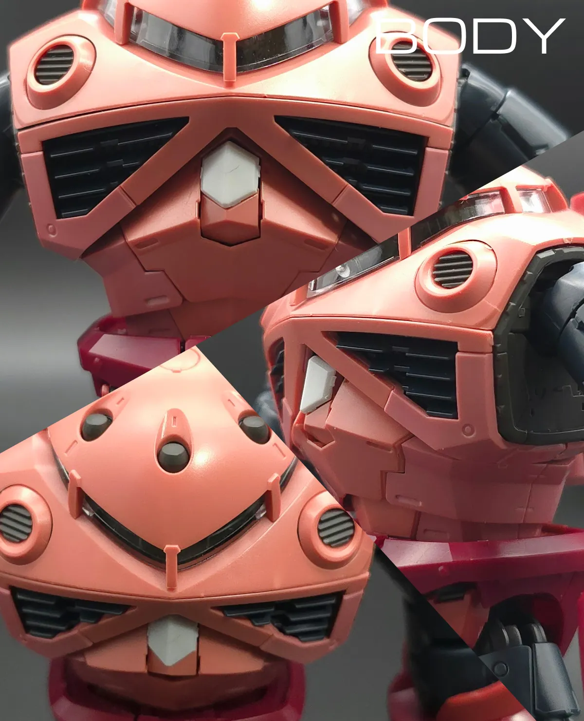 RG MSM-07S シャア専用ズゴック レビュー 胴体ディテール 01