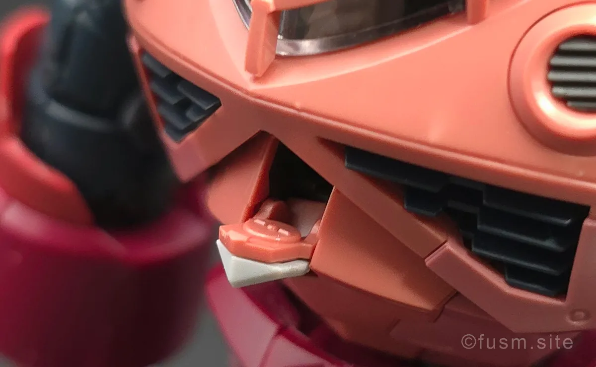 RG MSM-07S シャア専用ズゴック レビュー 胴体ディテール ギミック 01