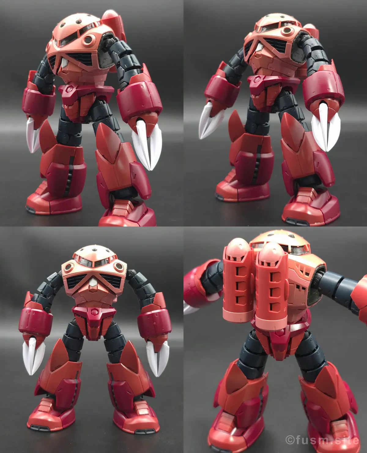 RG MSM-07S シャア専用ズゴック レビュー 胴体ディテール 可動域 01