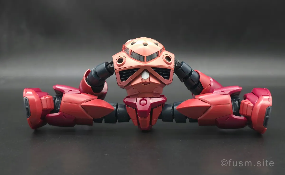 RG MSM-07S シャア専用ズゴック レビュー 胴体ディテール 可動域 02