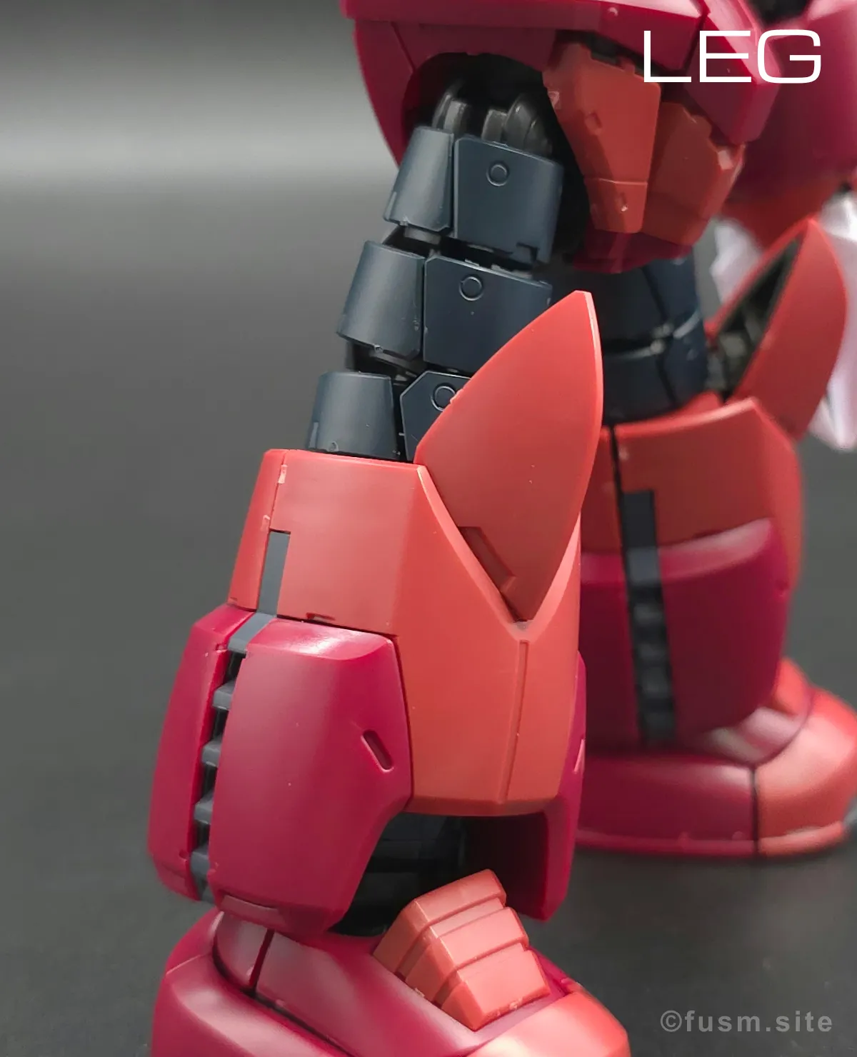 RG MSM-07S シャア専用ズゴック レビュー 脚部ディテール 01