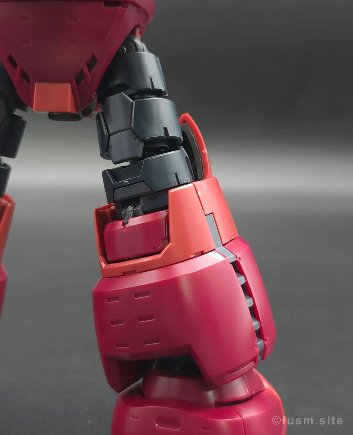 RG MSM-07S シャア専用ズゴック レビュー 脚部ディテール 02