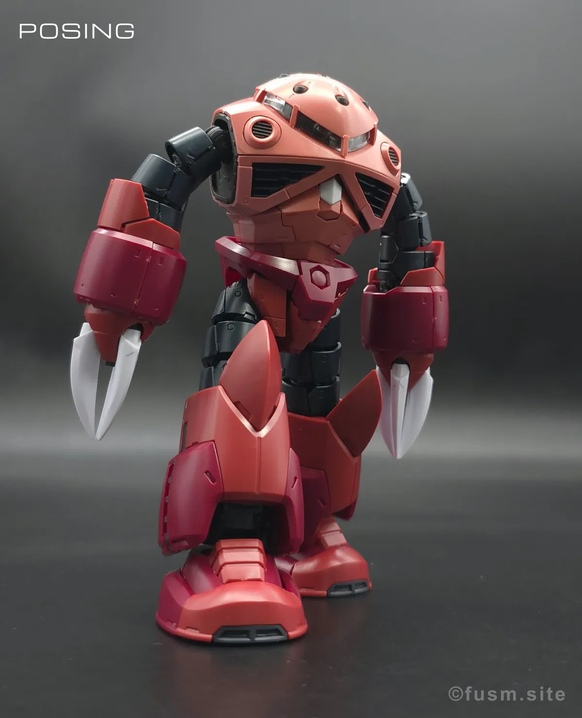 RG MSM-07S シャア専用ズゴック レビュー ポージング 01