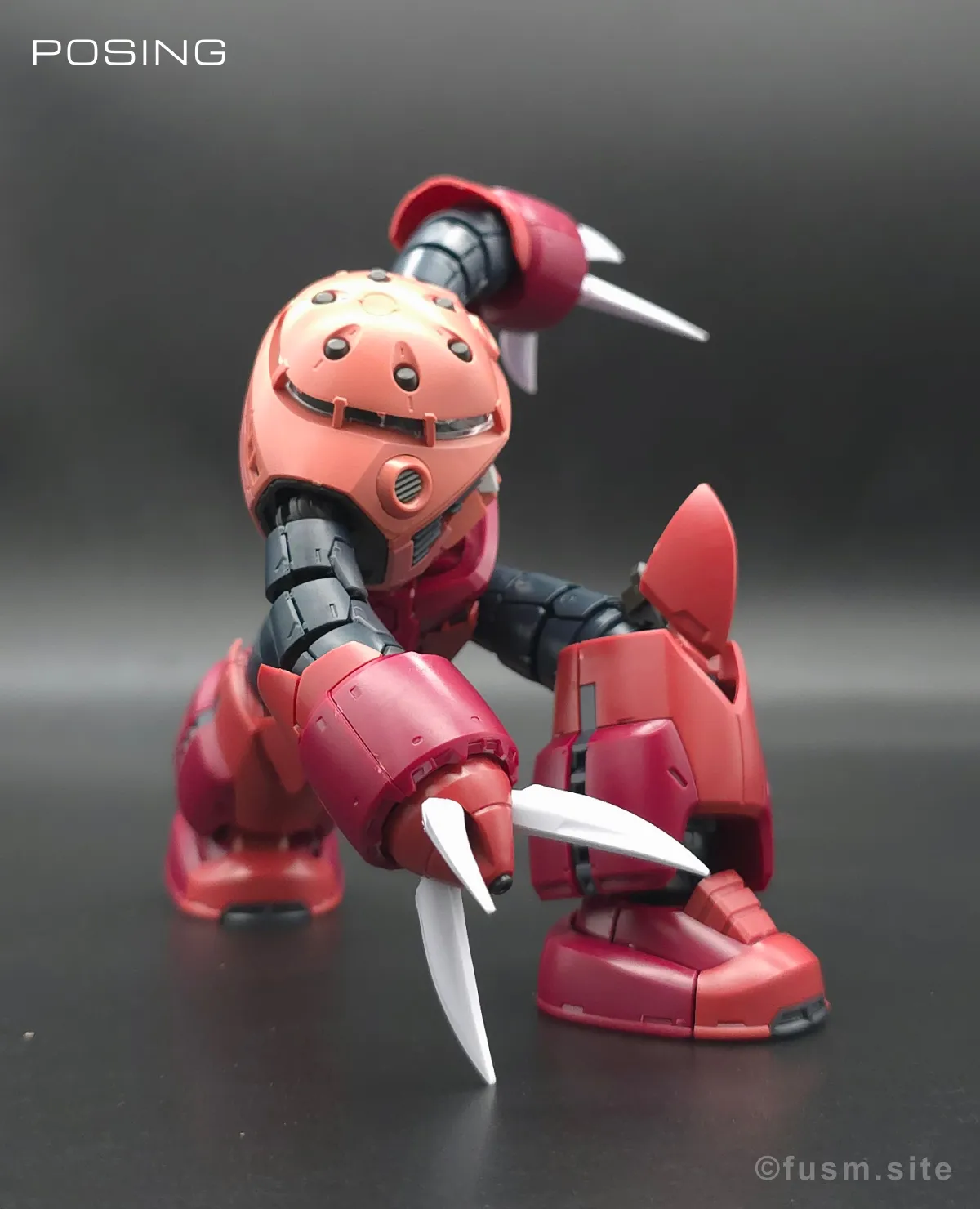 RG MSM-07S シャア専用ズゴック レビュー ポージング 02