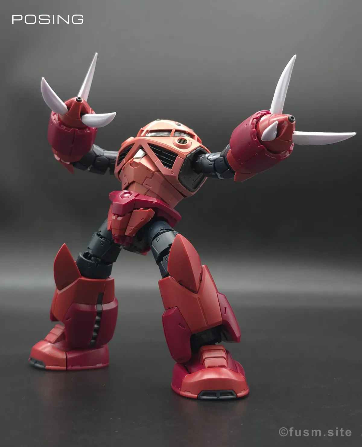RG MSM-07S シャア専用ズゴック レビュー ポージング 03