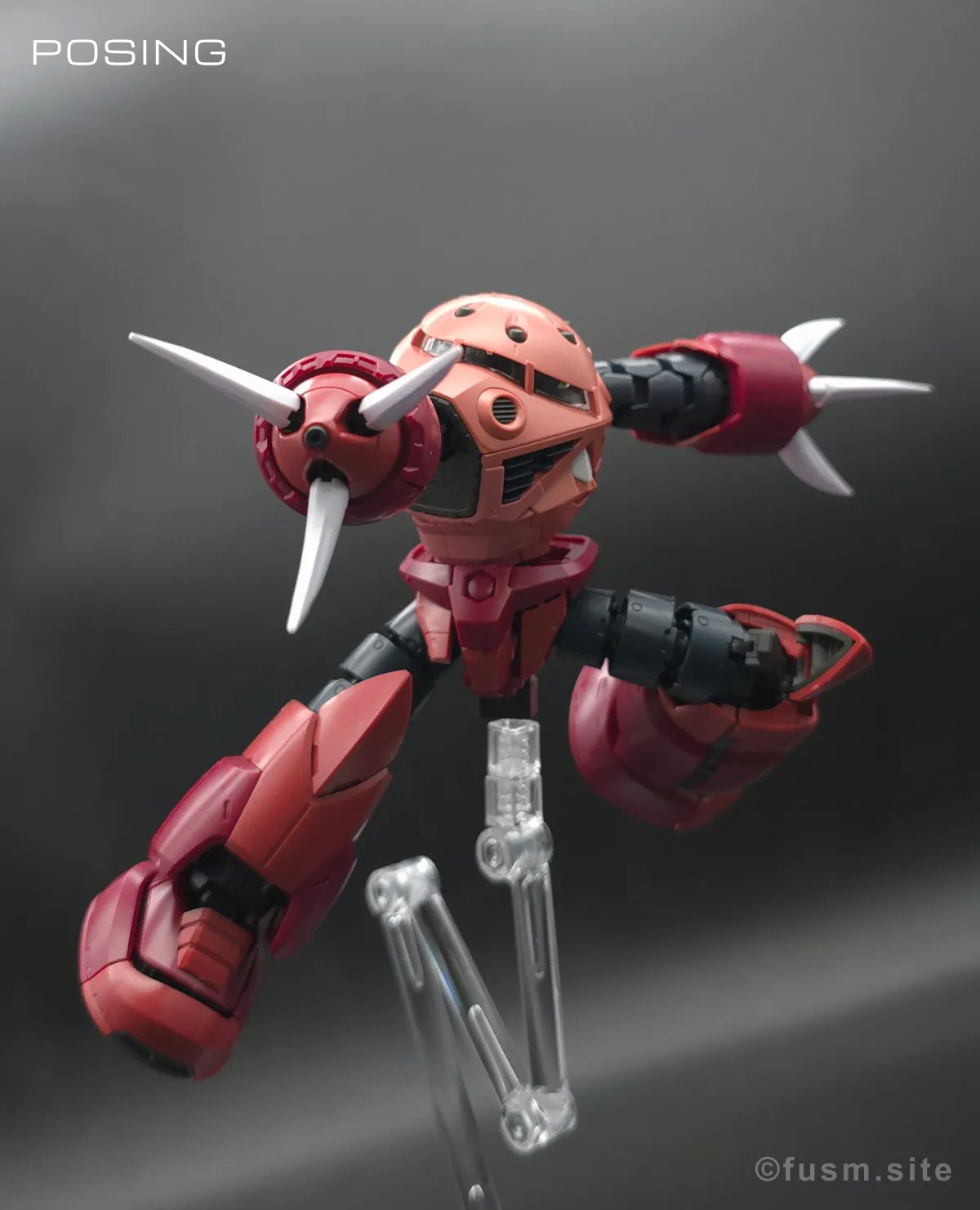 RG MSM-07S シャア専用ズゴック レビュー ポージング 04