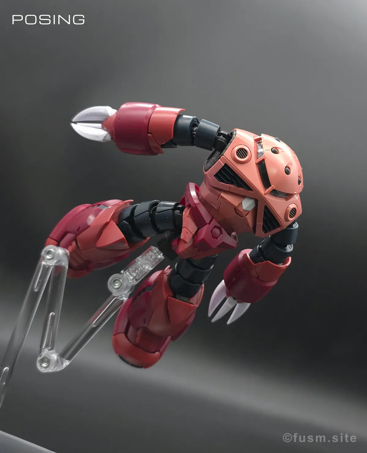 RG MSM-07S シャア専用ズゴック レビュー ポージング 05