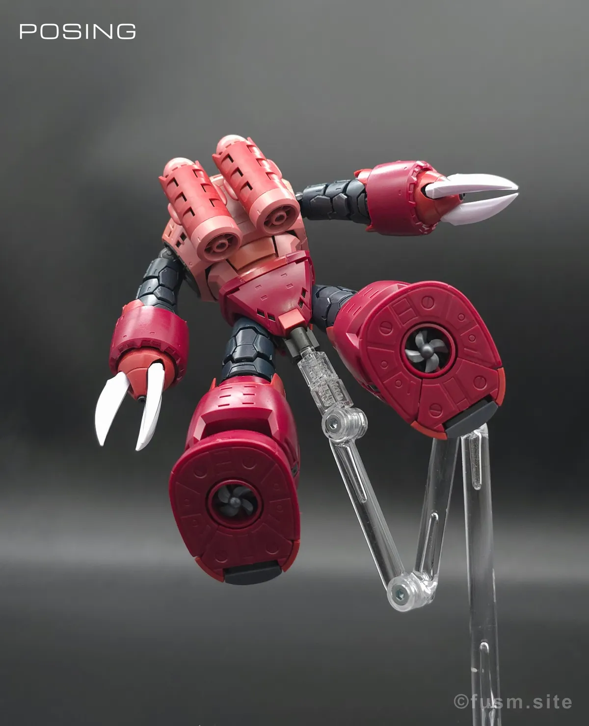 RG MSM-07S シャア専用ズゴック レビュー ポージング 06